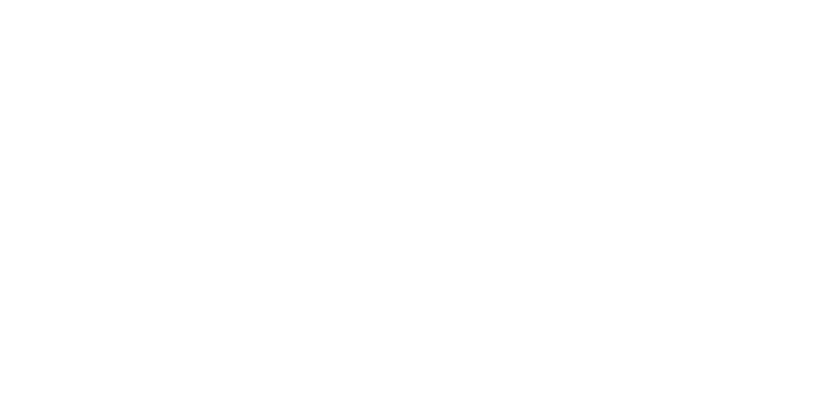 ITDT_Nettech_Logo_White-2