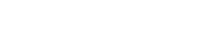 Netropole_Logo_White-1