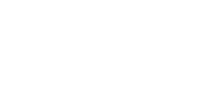 Netropole_Logo_White-3